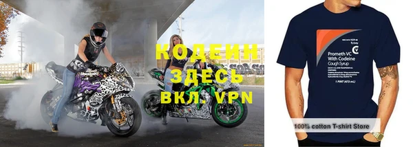 прущие грибы Осташков