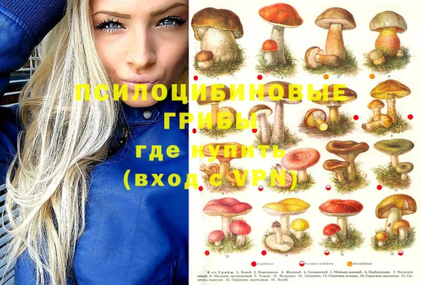 прущие грибы Осташков