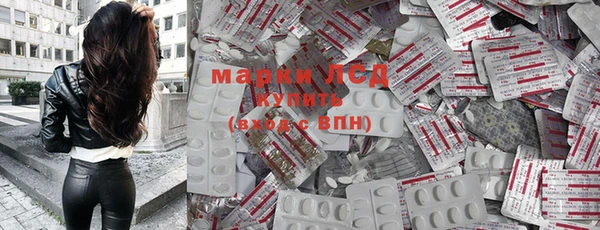 прущие грибы Осташков