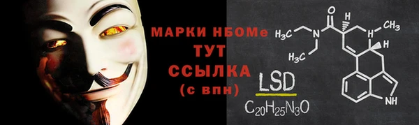 прущие грибы Осташков