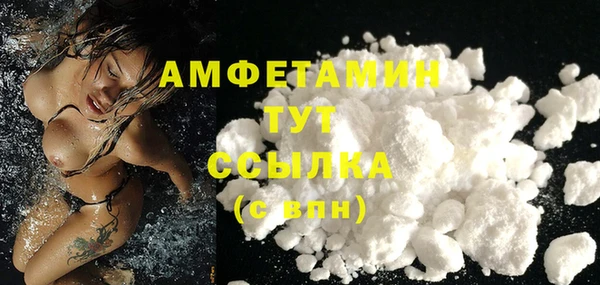 прущие грибы Осташков
